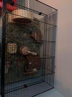 Hele mooie hamsterkooi, Dieren en Toebehoren, Minder dan 60 cm, Kooi, Ophalen of Verzenden, 75 tot 110 cm