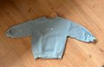 Sweater mt 120, Kinderen en Baby's, Kinderkleding | Maat 122, Trui of Vest, Jongen of Meisje, Ophalen of Verzenden, Zara