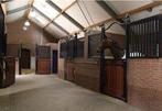 Meerdere stallen gezocht, Dieren en Toebehoren, Stalling en Weidegang, Weidegang, 4 paarden of pony's of meer