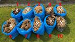 Wol van Skudde schapen, Dieren en Toebehoren, Schapen, Geiten en Varkens, Meerdere dieren, Schaap