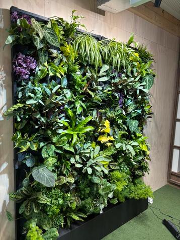 Plantenwand met levende planten, licht en watersysteem beschikbaar voor biedingen