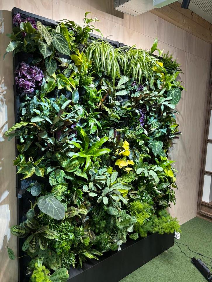 Plantenwand met levende planten, licht en watersysteem, Huis en Inrichting, Woonaccessoires | Kunstplanten en Kunstbloemen, Zo goed als nieuw