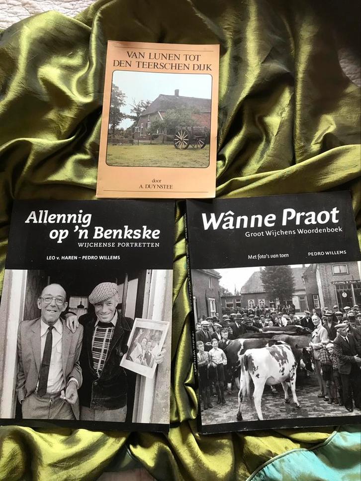 Boeken over Wijchen, Boeken, Geschiedenis | Stad en Regio, Zo goed als nieuw, Ophalen of Verzenden