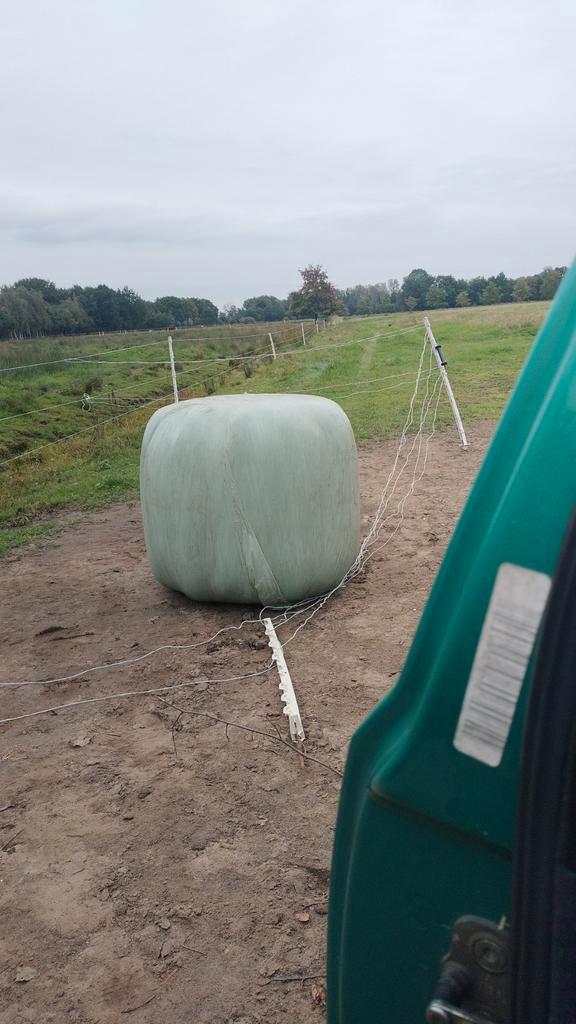 Hooi gezocht verpakt analyse natuur hooi, Dieren en Toebehoren, Dierenvoeding, Vee, Ophalen of Verzenden