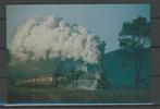 Locomotief Lok No. 2439 Foto-Ansichtkaart Trein t-81 jdu, Ophalen of Verzenden, Zo goed als nieuw, Trein, Kaart of Prent