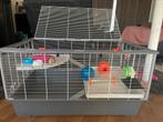 Hamsterkooi incl. accessoires, Dieren en Toebehoren, Kooi, Minder dan 60 cm, 75 tot 110 cm, Zo goed als nieuw