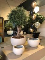 Potten bloembak plantenbak pot polyester pottenshop Bloempot