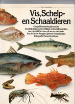 Vis, schelp- en schaaldieren - een geillustreerde gids, Boeken, Kookboeken, Ophalen of Verzenden, Zo goed als nieuw