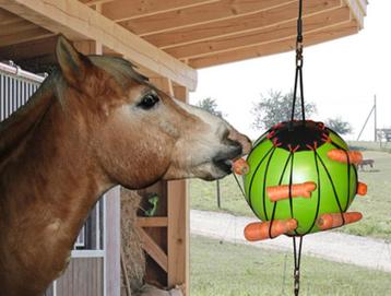 paarden speelbal beschikbaar voor biedingen