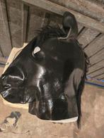 Latex paarden masker, Verzenden, Zo goed als nieuw, Overige typen