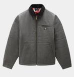 Dickies pedro bay jacket heather grey fit regular, Kleding | Heren, Jassen | Winter, Nieuw, Grijs, Dickies, Ophalen of Verzenden