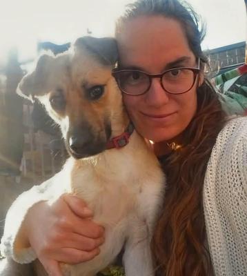 Uitlaat of oppas honden aangeboden beschikbaar voor biedingen