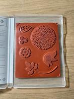 Stampin Up! 126006 Betsy's Blossoms, Ophalen of Verzenden, Zo goed als nieuw