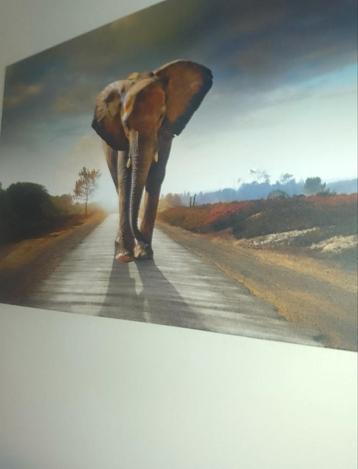 Zo goed als nieuw  olifant schilderij  beschikbaar voor biedingen