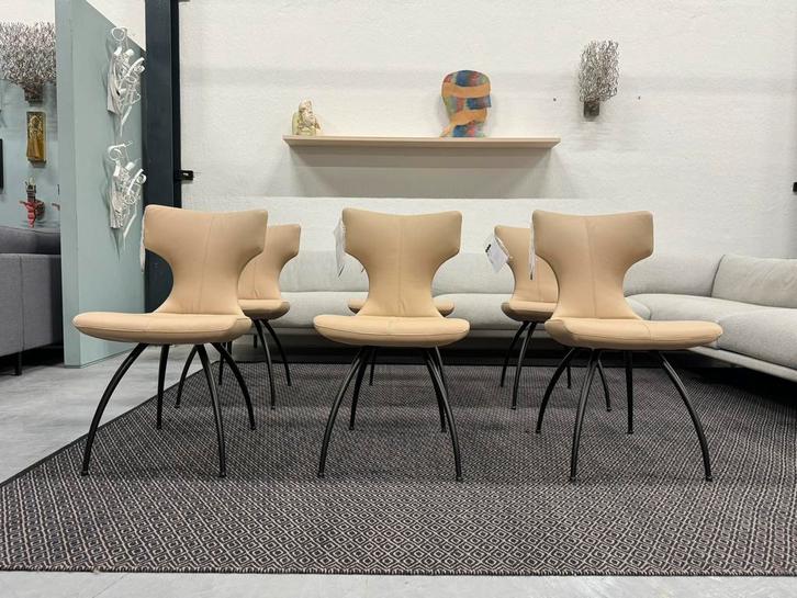 (2) Nieuw Leolux Callas eetkamerstoelen ceras Shell leer, Huis en Inrichting, Stoelen, Nieuw, Twee, Leer, Overige kleuren, Ophalen of Verzenden