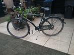 GAZELLE  - SKY DRIVE herenfiets  stap / busfiets, Fietsen en Brommers, Ophalen, Versnellingen, Zo goed als nieuw, 57 tot 61 cm