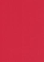Rainbow papier rood A4 (21 x 29,7 cm) 160 grams 10 vellen, Hobby en Vrije tijd, Scrapbooking, Nieuw, Overige merken, Ophalen of Verzenden