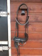 Tess hoofdstel maat full, Dieren en Toebehoren, Paarden en Pony's | Hoofdstellen en Tuigage, Ophalen of Verzenden, Zo goed als nieuw
