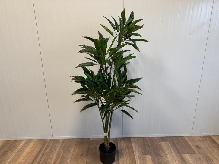 Rohdea en Ficus kunstplanten (diverse afmetingen), Huis en Inrichting, Kamerplanten, Ficus, 150 tot 200 cm, Groene kamerplant