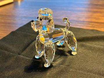 swarovski Koningspoedel beschikbaar voor biedingen