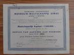 Aandeel Mijnbouw-Maatschappij Simau - Batavia - 1907, Ophalen of Verzenden, Voor 1920, Aandeel