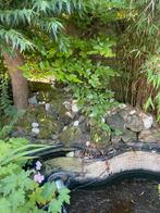 Rotsstenen voor vijverdecoratie, Tuin en Terras, Vijvers, Ophalen, Gebruikt