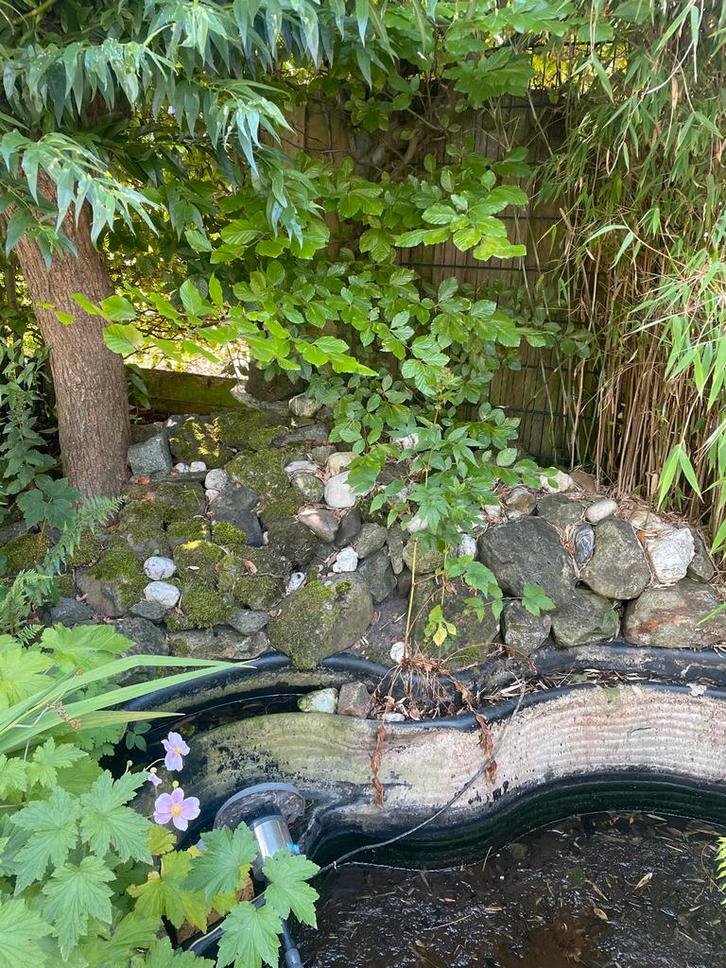 Rotsstenen voor vijverdecoratie, Tuin en Terras, Vijvers, Gebruikt, Ophalen