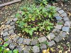 G R A T I S af te halen Keien voor Tuin of Bestrating, Tuin en Terras, Grind, Keien en Split, Ophalen, Gebruikt, Graniet, Kei