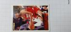 NBA cards FLEER 94-95, Hobby en Vrije tijd, Stickers en Plaatjes, Ophalen of Verzenden, Zo goed als nieuw, Meerdere plaatjes