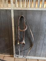 Anatomisch hoofdstel, Dieren en Toebehoren, Paarden en Pony's | Hoofdstellen en Tuigage, Ophalen of Verzenden, Dressuur