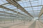 Te huur: 1.200 m² Venlokas in Boskoop (deel huur mogelijk), Tuin en Terras, Ophalen of Verzenden, Glas, Aluminium