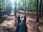 ‼️Gezocht‼️ Mooie bonte E-pony/paard🐴 beleerd!, Dieren en Toebehoren, Paarden, Zadelmak, Recreatiepaard