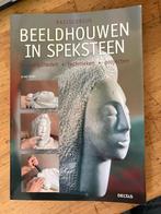 Beeldhouwen in Speksteen - Aline Fayet, Ophalen of Verzenden, Zo goed als nieuw, Beeldhouwkunst