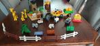 Duplo zoo, Ophalen of Verzenden, Gebruikt, Duplo