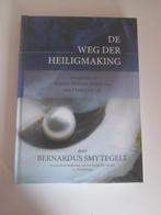 B. Smytegelt: De weg der heiligmaking, Christendom | Protestants, Ophalen of Verzenden, Zo goed als nieuw, Bernardus Smytegelt