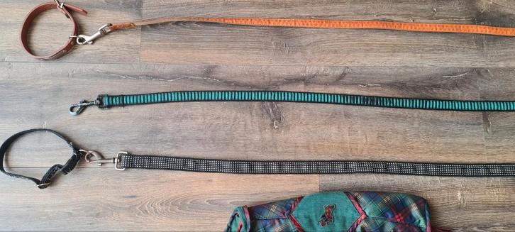 Riemen, halsbanden en een hondenjas, Dieren en Toebehoren, Hondenriemen, Gebruikt, Ophalen