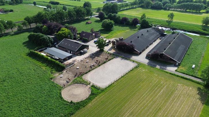 Pensionstalling aangeboden 1 binnenbox, Dieren en Toebehoren, Stalling en Weidegang, Stalling, 1 paard of pony