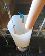 Stalinrichting varkens, Dieren en Toebehoren, Mannelijk, Varken