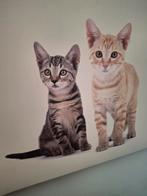 Kattenschilderij 2 jongen kittens, Ophalen of Verzenden, Gebruikt, Overige typen
