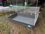 Binnenhok konijn of cavia, Minder dan 60 cm, Kooi, Gebruikt, Ophalen of Verzenden