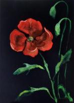 Poppy I - Kunstenaar: Astrid de Lange, Antiek en Kunst, Ophalen of Verzenden
