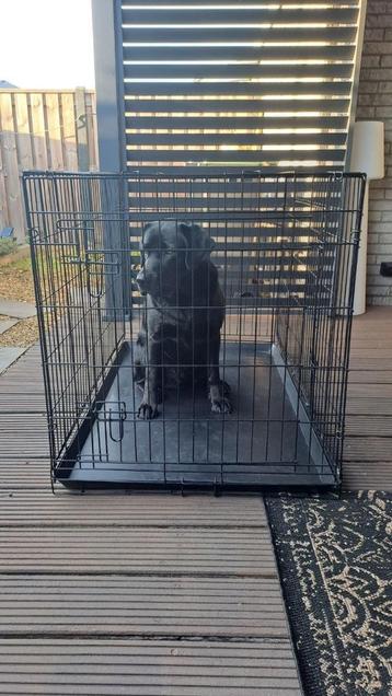 Zwarte Hondenbench XXL - 120x74x84 beschikbaar voor biedingen