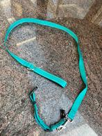 2x gebruikt voor onze pup, mintgroene Halsband set, Ophalen of Verzenden, Zo goed als nieuw
