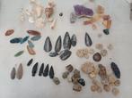 Verzameling fossielen/ schelpen en stenen, Verzamelen, Mineralen en Fossielen, Ophalen of Verzenden, Schelp(en)