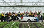 Productiemedewerker, 33 - 40 uur, Tijdelijk contract