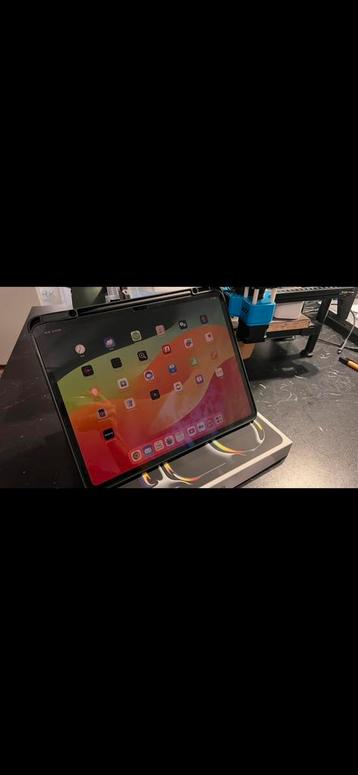 iPad Pro 13-inch (M4) | 512GB | Wi-Fi + Cellular | Garantie beschikbaar voor biedingen