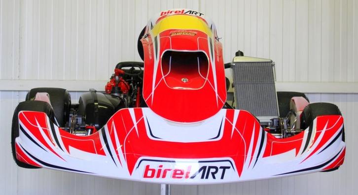 Birel Kart met Rotax DD2 Motor, Sport en Fitness, Karting, Zo goed als nieuw, Kart, Ophalen