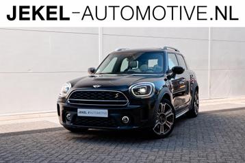 Mini Mini Countryman 2.0 Cooper S E ALL4 Panoramadak, 19" LM beschikbaar voor biedingen