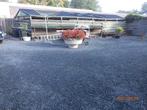 Plantenbak, Tuin en Terras, Bloembakken en Plantenbakken, Ophalen, Gebruikt, Rond, 60 tot 100 cm