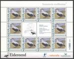 Vogels in Nederland Vel Eidereend, Ophalen of Verzenden, Postfris